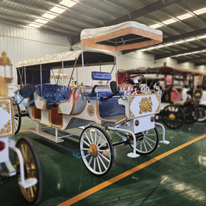 Sightseeing Carriage with Roof Outdoor Christmas Decoration Horse Wagon/romantic Wedding Electric Sightseeing Horse Carriage - Product Image 2