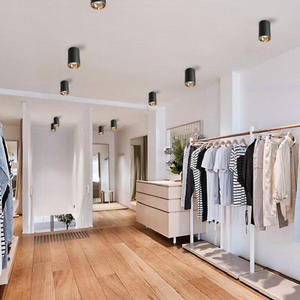 Đèn LED COB Gắn Trên Bề Mặt Có Thể Điều Chỉnh Độ Sáng 20W 30W Hiện Đại Cho Văn Phòng Khách Sạn Đèn LED Gia Đình Đèn Chiếu Sáng Trần Với Trình Điều Khiển LED - Product Image 6