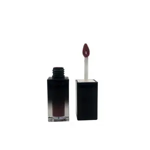 Crème maquillage liquide rouge à lèvres remplissage de haute qualité contient liquide mat en vrac rouge à lèvres sans étiquette