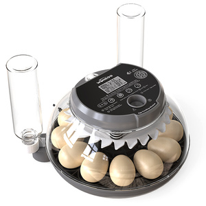 WONEGG - Incubadora de Huevos de Codorniz y Pato al Mejor Precio, Incubadora de Huevos Casera, en Venta en Tailandia - Product Image 2