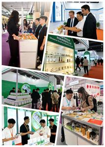 Pasokan Pabrik Bubuk Ekstrak Tomat Alami Murni 5% 30% Likopen Kelas Makanan - Product Image 6