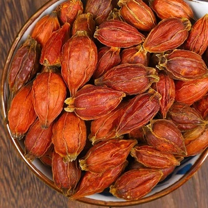 Proveedor mayorista Zhi Zi especias y hierbas secas Fructus Gardeniae nuevos cultivos semillas Rojas secas <span class=keywords><strong>de</strong></span> Fructus Gardeniae - Product Image 3