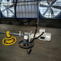 Équipement d'élevage au sol pour poulets de chair, système automatique d'élevage avicole avec mangeoire à plateau et ligne d'abreuvoirs à tétines
