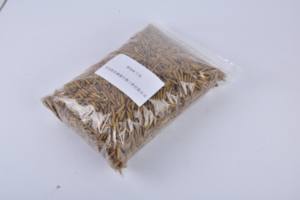 Vers larves de mouches de soldats noirs séchés pour l'alimentation des poissons de cochon de cheval emballés dans des sacs - Product Image 4