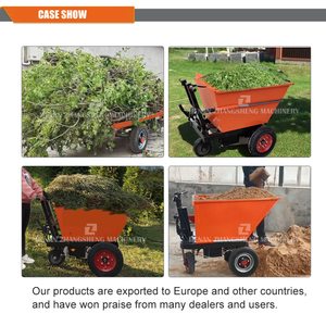 Petit transporteur mini dumper 500kg petit chariot électrique - Product Image 2