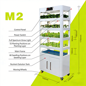M2 220W Giardino Intelligente da Interno con 152 Pod, Irrigazione a Film Nutriente NFT, Struttura in Acciaio, Macchina Intelligente per la Coltivazione di Verdure in <span class=keywords><strong>Cucina</strong></span> - Product Image 6