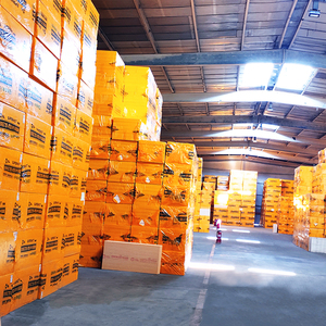 Ce chứng nhận XPS cứng nhắc Polystyrene xốp cách nhiệt Hội Đồng Quản trị tùy chỉnh nhiệt sản phẩm cách nhiệt - Product Image 1