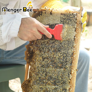 Apicultura Colmena 6 Artículos Herramientas Marco Agarre Herramientas completas de colmena de abejas - Product Image 4