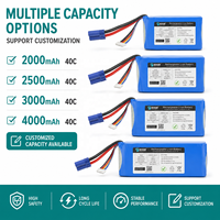 Fabricant OEM et ODM de démarreurs de voiture portables 12V avec batterie Li-ion, pack de batteries lithium-ion 2500mAh