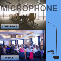 T Professional Studio Microphone longue tenue Microphone à bras réglable avec alimentation Phamton pour la diffusion en direct