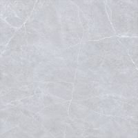 Dalle de porcelaine pleine grandeur en pierre frittée gris clair effet marbre veiné gris doux, style Bulgarie moderne, pour revêtement de sol de salon moderne