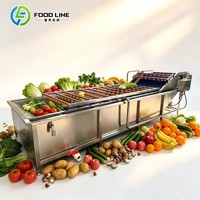 Geïntegreerde fruit- en groentewasmachine gecombineerd met hogedruksproeier