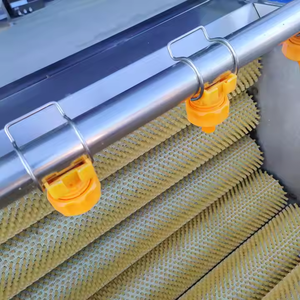 Lavadora Comercial Automática de Frutas y Verduras de Acero Inoxidable, Máquina Peladora de Tomates, Zanahorias y Verduras con Capacidad de 800 KG/H - Product Image 6