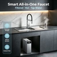 Robinet de cuisine extractible à double sortie avec tuyaux filtrés séparés, capteur d'eau chaude instantanée, usage commercial et domestique, OEM LUCKBOIL