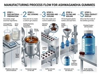 Gummies d'Ashwagandha Véganes Saveur Baies Mixtes Complément Alimentaire 60 Gummies par Bouteille Soulagement du Stress Soutien au Sommeil Marque Propre OEM