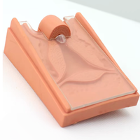 Simulador de anatomía del órgano reproductor femenino, modelo anatómico para la escuela de medicina, entrenamiento de colocación y extracción de DIU, silicona médica