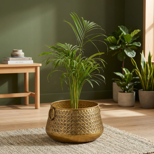 Les mini jardinières suspendues en métal à la mode élèvent votre jardin et votre maison avec des conceptions élégantes pour l'usage de plancher de balcon et de salon - Product Image 1