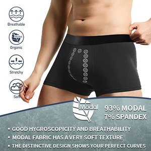 Sous-vêtements pour hommes Energy Field Therapy, caleçons boxers sans couture, extensibles, en modal de bambou, designs personnalisés, logo, sous-vêtements pour hommes - Product Image 3