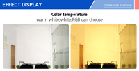 200W COB LED Stage Par Light Cool & Warm White 2 In1 COB PAR pour Stage Club Bar Light