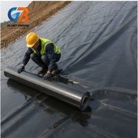 Géomembrane HDPE imperméable lisse anti-infiltration pour le traitement des eaux usées, les bassins et les fossés d'oxydation