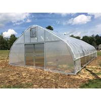 Serre industrielle pour tomates Conception de ferme Matériau PE à travée unique Serre économique à faible coût