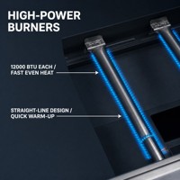 Parrilla de Gas de Acero Inoxidable al por Mayor, 6 Quemadores, Asador para Exteriores, Logotipo Personalizado OEM de Fábrica