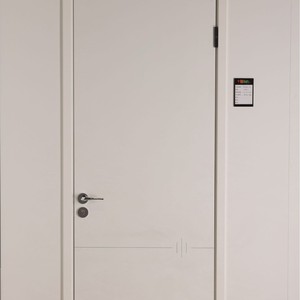 Porte intérieure minimaliste en acier avec isolation acoustique, design à battant manuel, surface finie - Product Image 1
