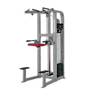 Attrezzo Fitness Robusto a Carico Selezionabile per Dip/Chin Assistiti - Trainer Multifunzione per Trazioni Assistite e Allenamento Muscolare - Product Image 2