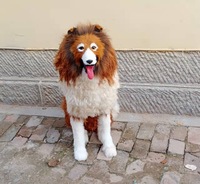 Modèle d'animal de chien simulé de grand chien de loup Modèle de loup simulé d'ornement de spécimen d'animal de fourrure véritable