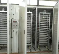 Incubadora de temperatura e umidade automática, equipamento de temperatura e umidade para galinha