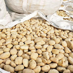 Ciottoli gialli decorativi naturali ciottoli di pietra di <span class=keywords><strong>fiume</strong></span> di qualità all'ingrosso della fabbrica - Product Image 3