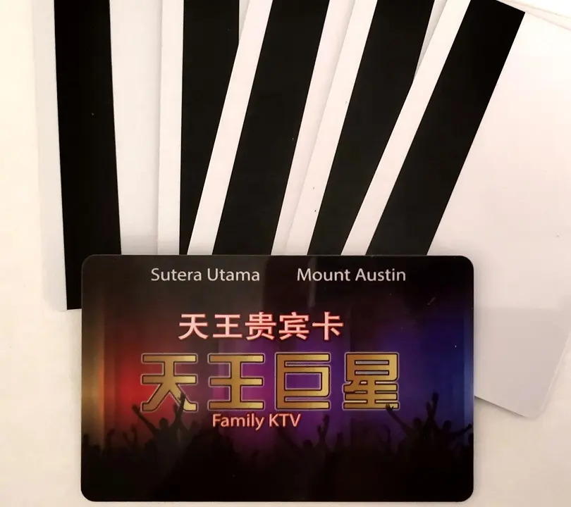 Top sale PVC HICO/Loco business card plastic Blank card with magnetic strip