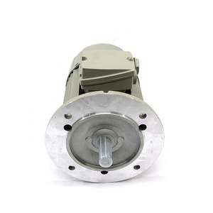 Moteur AC 1LE1001-0DB22-1FA4 SIMOTICS, moteur basse tension à usage général - Product Image 4
