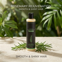 Shampoo nourrissant à la kératine hydrolysée de romarin, 220 ml, boîte, vente en gros, OEM, ODM, sur mesure