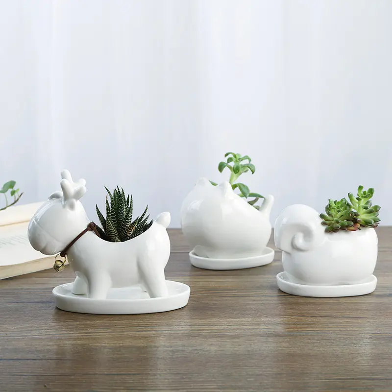 Regalo di inaugurazione della casa personalizzato bianco smaltato simpatico coniglio animali forma fioriera in ceramica pianta succulente vasi di Cactus con vassoio in ceramica