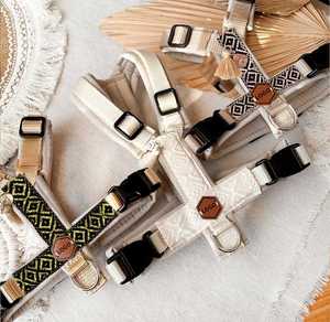 Chaleco ajustable sin tirones para mascotas, fabricante de diseñador de lujo, conjunto de Correa y cuello de Jacquard Premium bohemio, conjunto de arnés de nailon personalizado para perros - Product Image 3