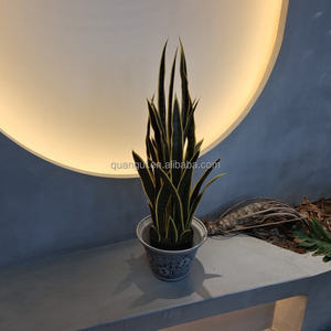 Foshan emulado pequeño plástico en maceta <span class=keywords><strong>Sansevieria</strong></span> Planta artificial amarillo verde imitación con aspecto realista - Product Image 2