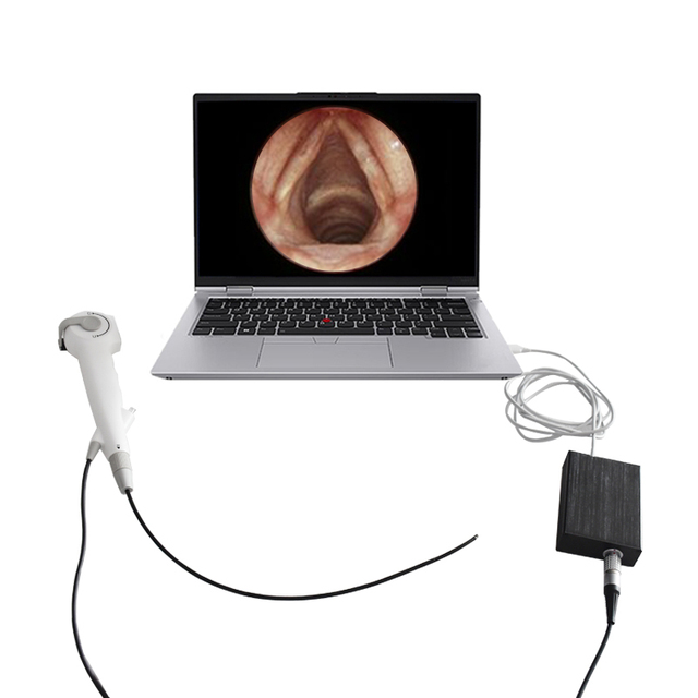 Factory Supplies Flexible Endoscopes for Nasopharyngeal Medical Imaging Rhinolarygoscopy Ear Nose Throat Hospital Surgery