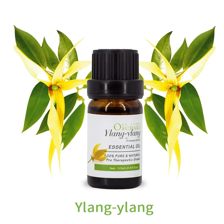 Obstgarten Private Label natürlichen Bio-Duft und Massage Ylang Ylang reines ätherisches Öl
