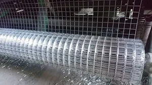 高品质便宜的工厂价格热浸镀锌18号焊丝网辊，用于户外围栏制造 - Product Image 2