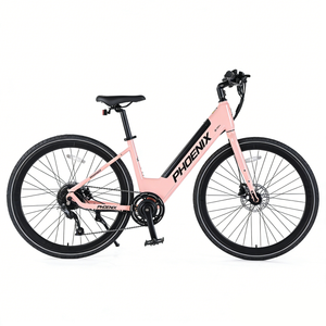 <span class=keywords><strong>Bicicleta</strong></span> Eléctrica Nueva de Fábrica, Modelo 700CC, Cuadro Reforzado de Acero al Carbono, 36V 350W, Motor sin Escobillas, Batería de Litio, <span class=keywords><strong>Bicicleta</strong></span> Eléctrica de Montaña, Delantera/Trasera - Product Image 2