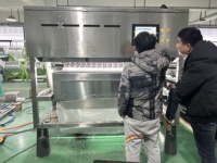 Optische bevroren frambozen kleursorteermachine voor bevroren fruit kleursorteermachine van WENYAO China