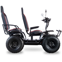 Nouvelle conception de véhicule tout-terrain électrique tout-terrain, scooter électrique 60V 4800W/6000W/8000W avec 2 sièges