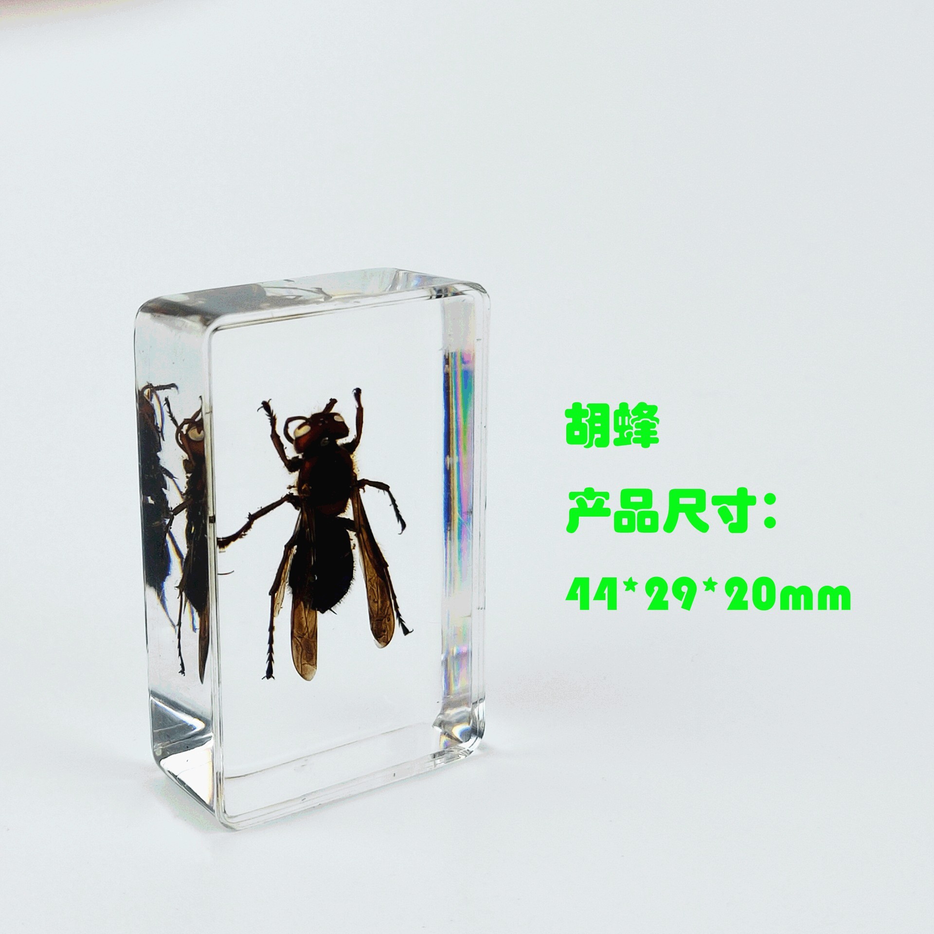 Sp hornet 442916mm