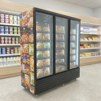 Congélateur vitrine avec logo personnalisé, 3 niveaux de vitres anti-buée, acier épaissi, refroidissement par air comprimé importé