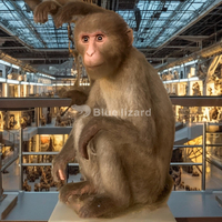 Modèles de Singes Animatroniques Réalistes, Faits à la Main, de Simulation