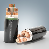 0,6/1kV 2/3/4/5-adriges Kupferkabel 16mm² 25mm² 35mm² 50mm² 70mm² 95mm² 120mm² XLPE-Stromkabel für Bauarbeiten