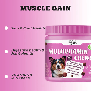 कुत्तों के लिए अनुकूलन योग्य चबाने योग्य मल्टीविटामिन की खुराक-प्रतिरक्षा समर्थन उच्च-प्रोटीन प्राकृतिक मसाले टर्की टुना स्वाद - Product Image 3