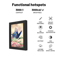 Außen IP65 Maßgefertigter IPS HDR Straßenlaternenpfahl-Bildschirm Video-Player Kiosk Digitale Beschilderung LCD-Display Werbung