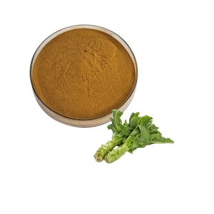 สารสกัดจากผักกาดหอมป่าธรรมชาติคุณภาพสูง ผงแลคทูคา 10:1 - Product Image 1